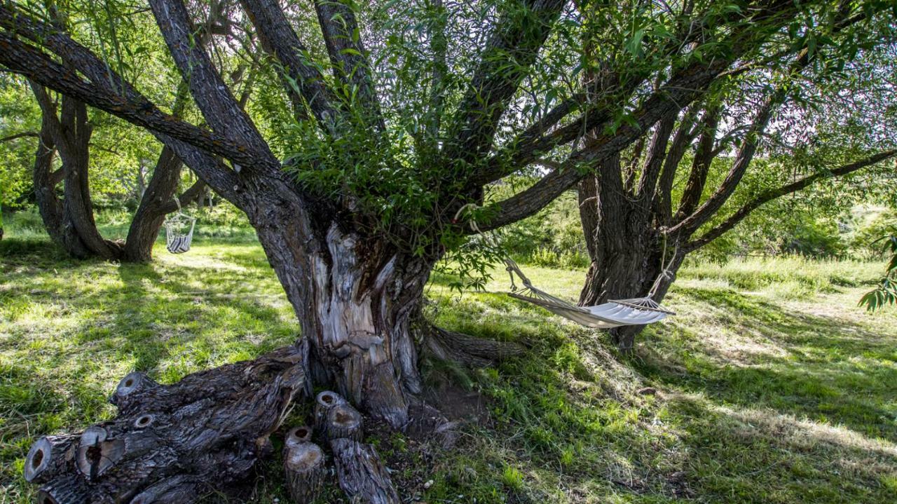 Masia El Cabrero Villarroya de los Pinares Extérieur photo